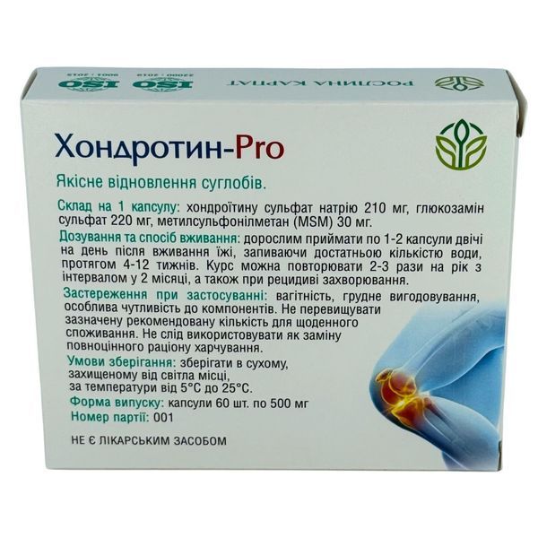 Програма Здорові суглоби &ndash; Дермісан, Чорнокорінь, Пропаїн, Хондротин Рослина Карпат 484759 484759 фото