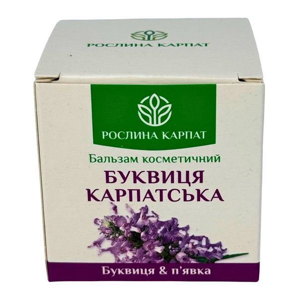 Бальзам Буквиця Карпатська &ndash; природний догляд при варикозі Рослина Карпат 484769 484769 фото