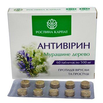 Антивірин &ndash; натуральна підтримка в сезон застуд Рослина Карпат 484762 484762 фото