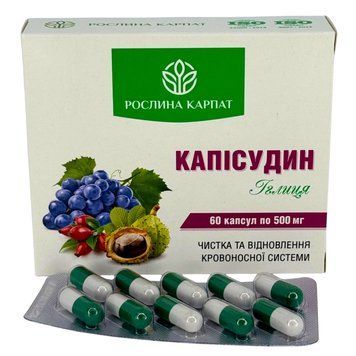 Капісудин &ndash; для очищення судин та покращення кровообігу Рослина Карпат 484791 484791 фото