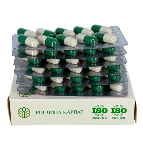 Фунгіцин 60 кап. &ndash; ефективний природний антимікотик Рослина Карпат 484725 484725 фото
