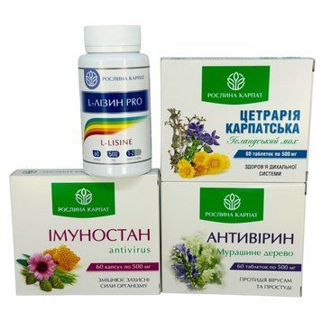Комплексна програма при застуді, ГРЗ, ГРВІ - Антивірин, Імуностан, Цетрарія, Лізин Рослина Карпат 485494 485494 фото